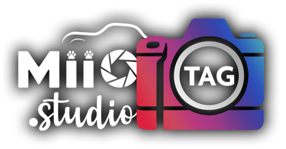 MIIO.studio PhotoTag